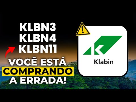 Qual é a diferença entre Klabin 4 e KLBN11?