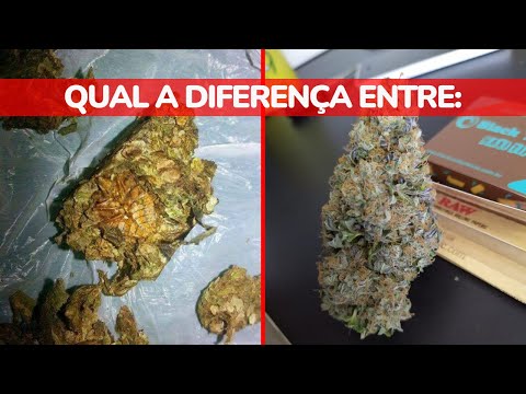 Qual é a diferença entre skunk e flor?