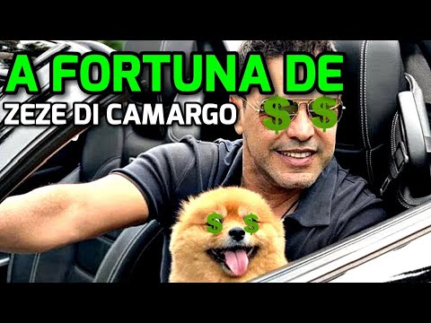 Qual é a fortuna de Zezé Di Camargo?