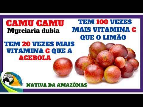 Qual é a fruta que possui mais vitaminas?