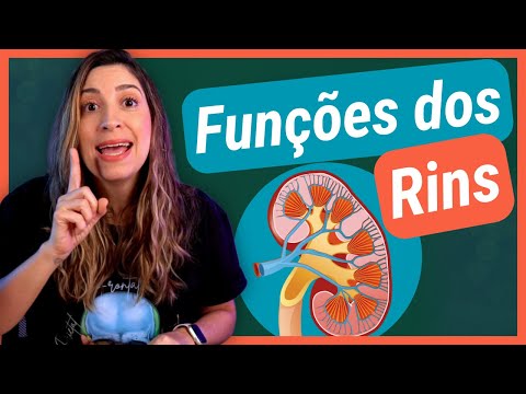 Qual é a função dos rins?