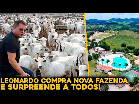 Qual é a história da Fazenda do Leonardo no Tocantins?