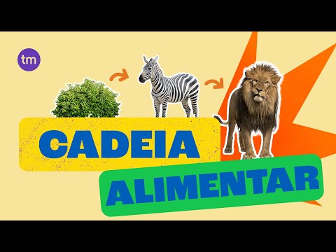 Qual é a importância da cadeia alimentar: produtores, consumidores e decompositores?