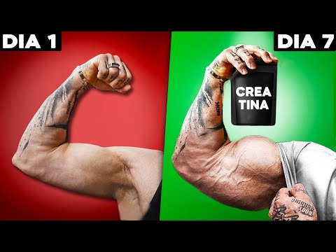 Qual é a melhor creatina para ganhar massa muscular?