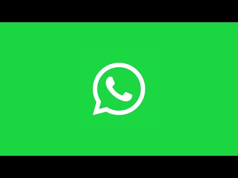 Qual é a melhor frase para a bio do WhatsApp?