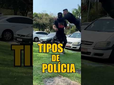 Qual é a melhor polícia do mundo?