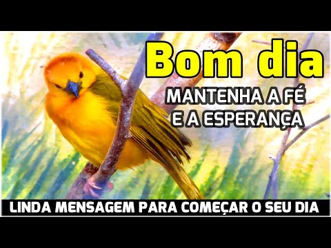 Qual é a melhor reflexão de mensagem evangélica para um bom dia?