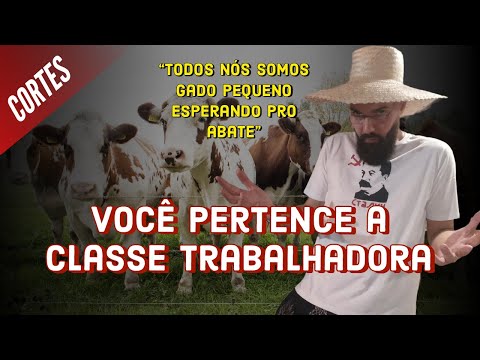 Qual é a minha classe social?