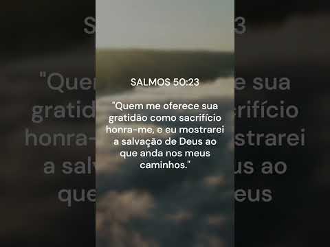 Qual é a palavra da Bíblia sobre gratidão?