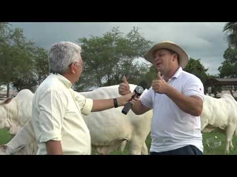 Qual é a programação da fazenda hoje?