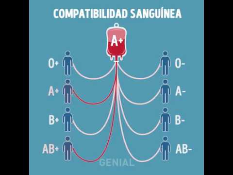 Qual é a tabela de incompatibilidade sanguínea para ter filhos?