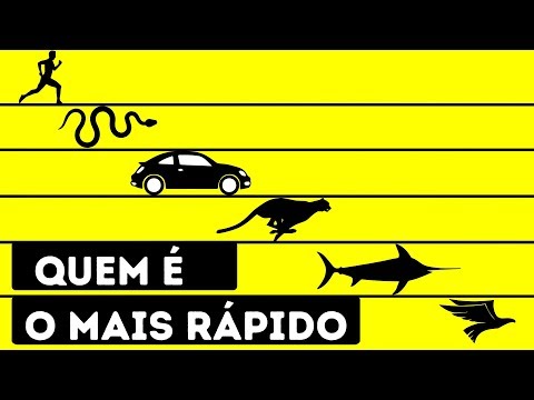 Qual é o animal mais rápido do planeta?