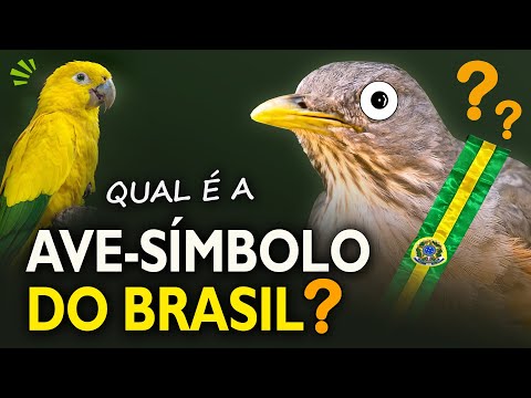 Qual é o animal que representa o Brasil?