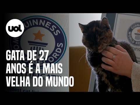 Qual é o gato mais velho do mundo?