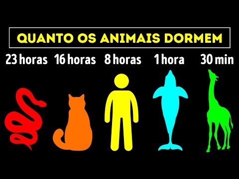 Qual é o horário em que os tigres são mais ativos?