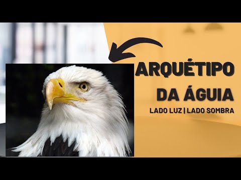 Qual é o lado sombra do arquétipo da águia?