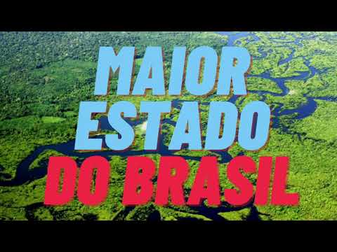 Qual é o maior estado do Brasil?