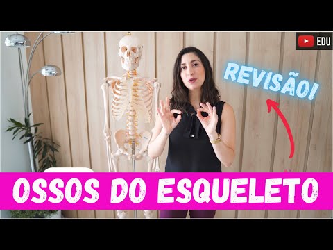 Qual é o maior osso do corpo humano?