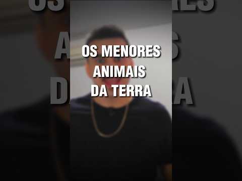 Qual é o menor animal do mundo?