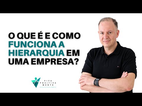 Qual é o nível hierárquico de uma empresa?