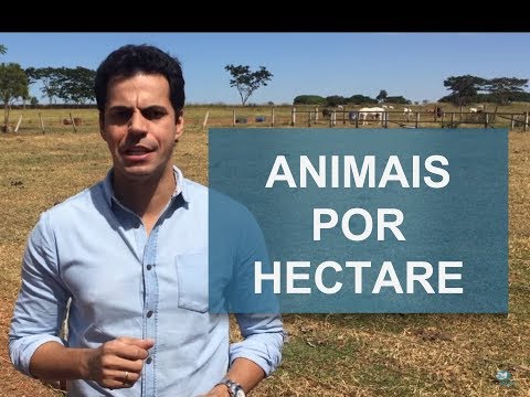 Qual é o preço da vaca que produz 20 litros de leite em 2025?