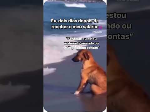 Qual é o resumo da minha vida?