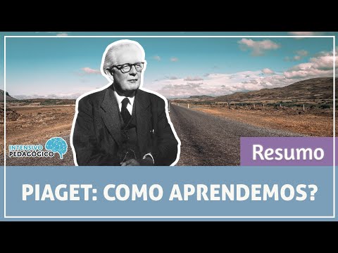 Qual é o resumo da teoria de Piaget?