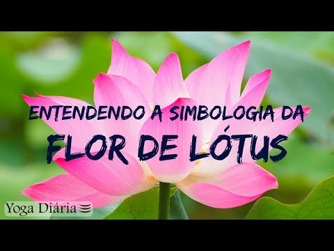 Qual é o significado da flor de lótus?