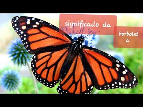 Qual é o significado de encontrar uma borboleta dentro de casa?