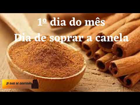 Qual é o significado do 1 dia do mês canela?