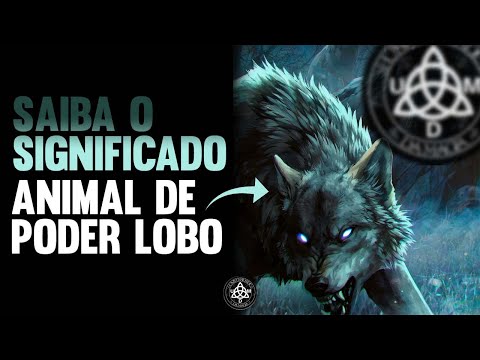 Qual é o significado do animal lobo?