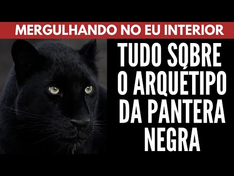 Qual é o significado do arquétipo da Pantera Negra?