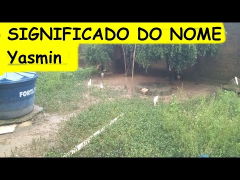 Qual é o significado do nome Yasmin?