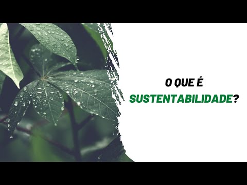 Qual é o sinônimo de sustentável para o meio ambiente?