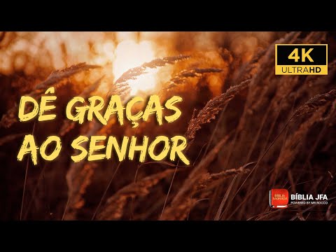 Qual é o texto da Bíblia sobre gratidão?