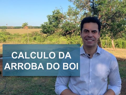 Qual é o valor da arroba do boi atualmente?