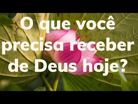 Qual é o versículo da palavra de Deus para hoje?