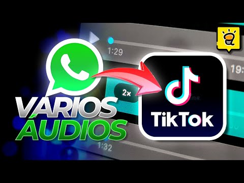 Qual é o WhatsApp do TikTok Brasil?