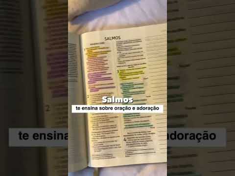 Qual livro devo começar a estudar na Bíblia?