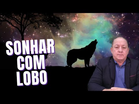 Qual o significado de sonhar com lobo na Umbanda?