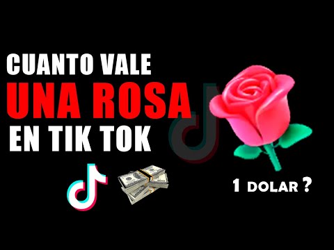 Quanto custa a rosa do TikTok?