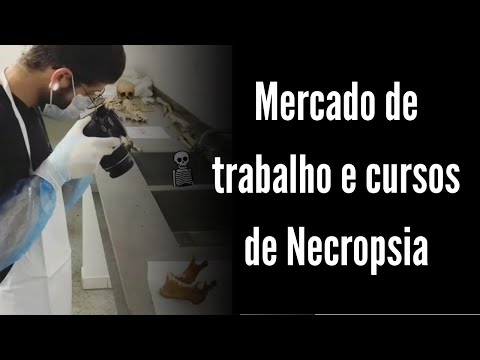 Quanto ganha um necropsista concursado?