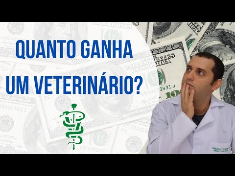 Quanto ganha um veterinário atualmente?