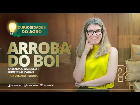 Quanto Vale Uma Arroba? Descubra o Preço Atual!