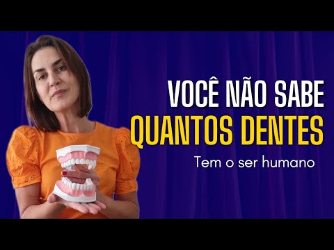 Quantos dentes o ser humano possui?