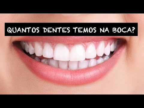 Quantos dentes tem o ser humano?