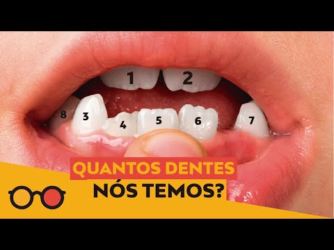 Quantos dentes uma pessoa tem na boca?