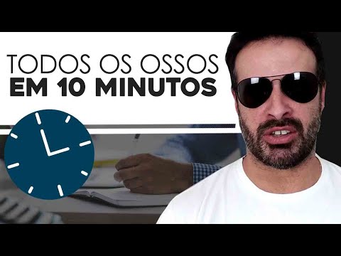 Quantos ossos existem no corpo humano?