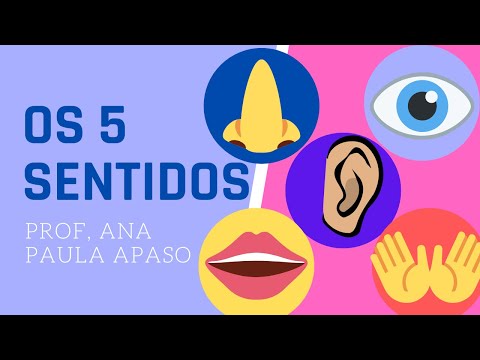 Quantos sentidos o corpo humano realmente possui?