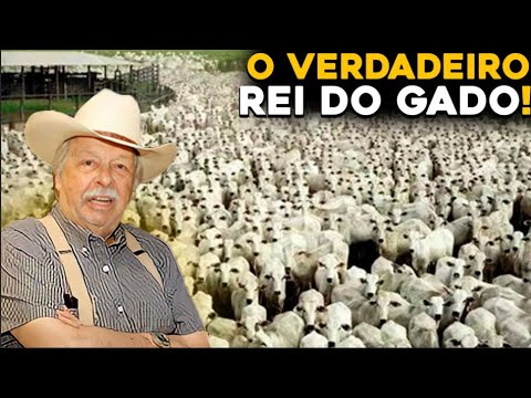 Quem é o dono da maior fazenda do Brasil?